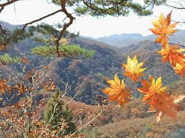 5款超实用赚零花钱软件，让你轻松赚取零花钱!