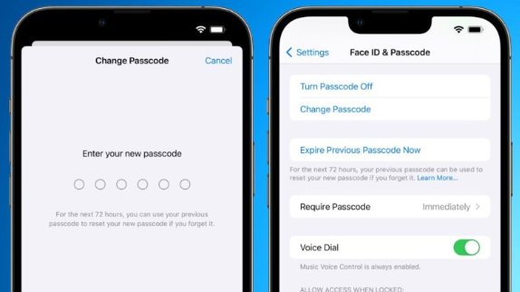 iOS 17 加入贴心小功能，改新密码后能在72 小时内使用旧密码重置
