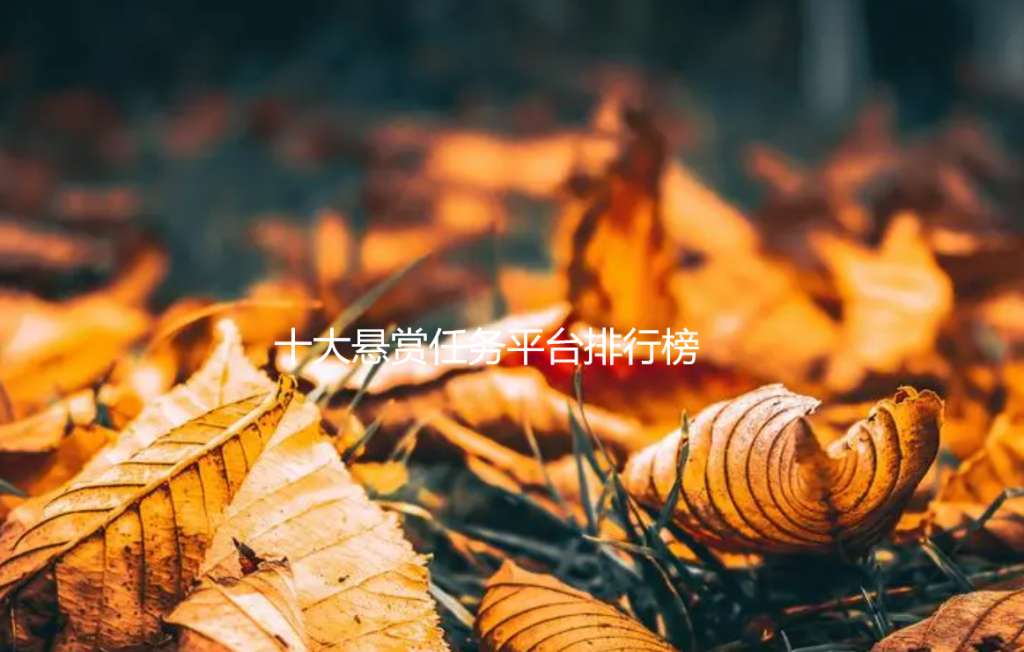 十大悬赏任务平台排行榜，悬赏平台app排行榜前十名